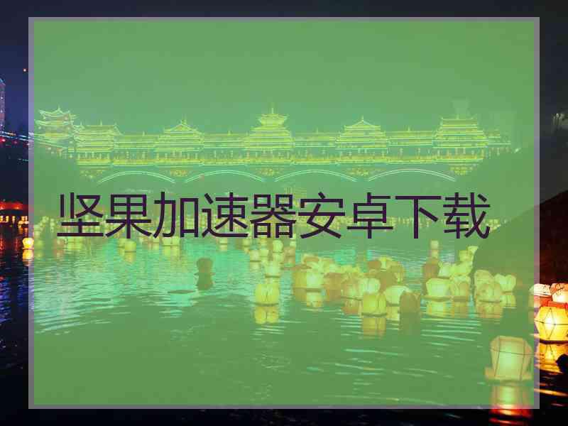 坚果加速器安卓下载