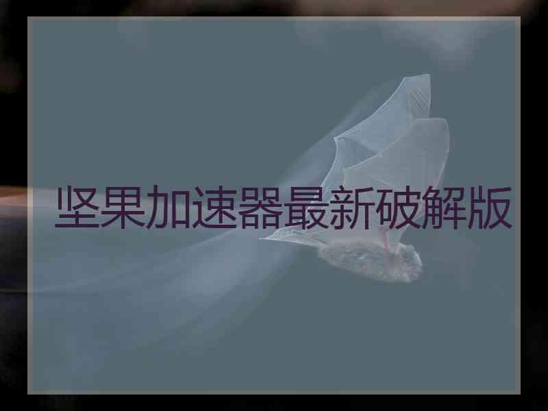 坚果加速器最新破解版