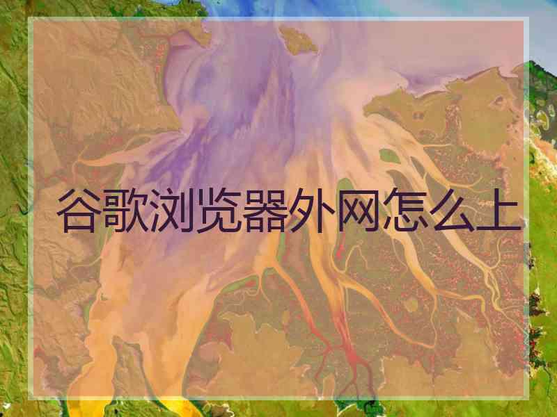 谷歌浏览器外网怎么上