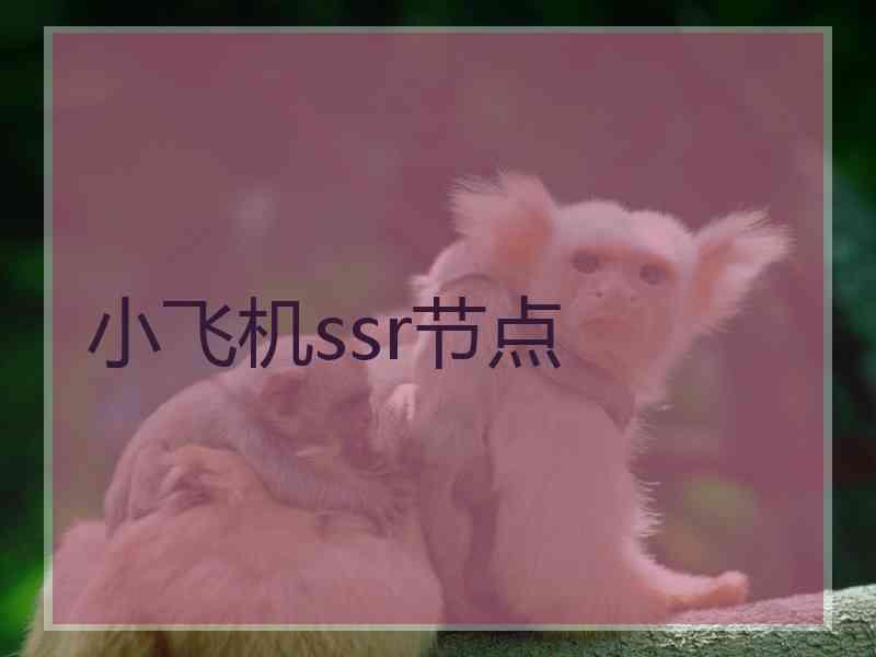 小飞机ssr节点