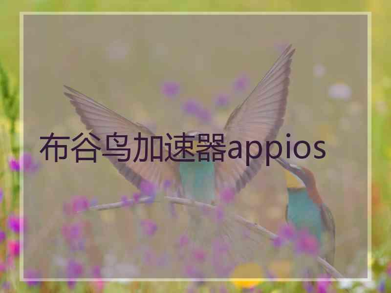 布谷鸟加速器appios