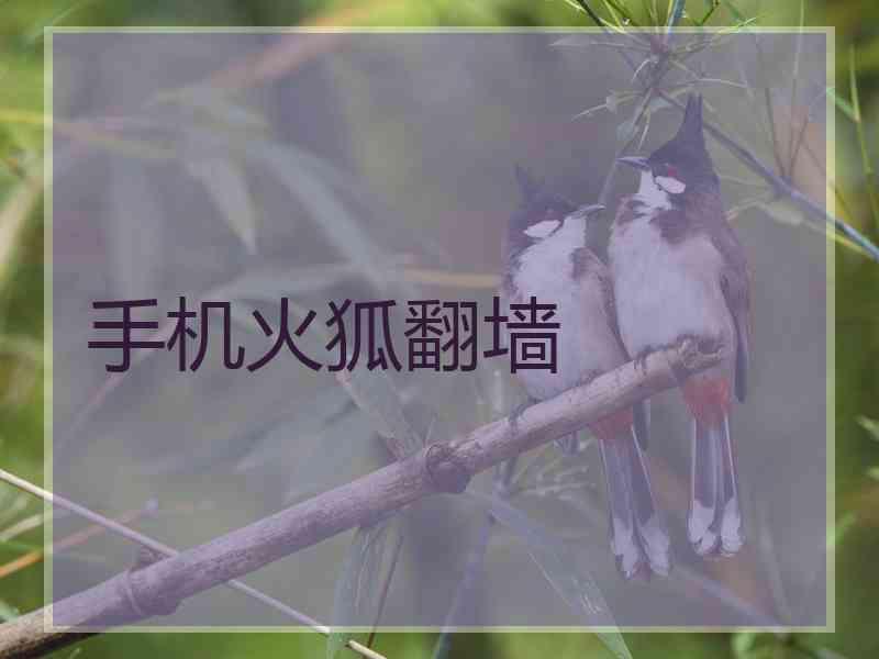 手机火狐翻墙