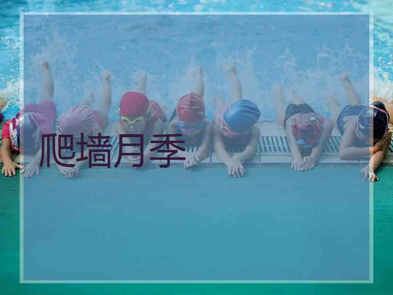 爬墙月季