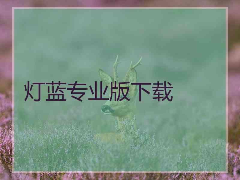 灯蓝专业版下载