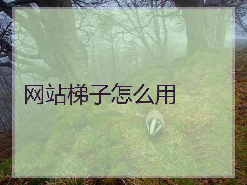 网站梯子怎么用