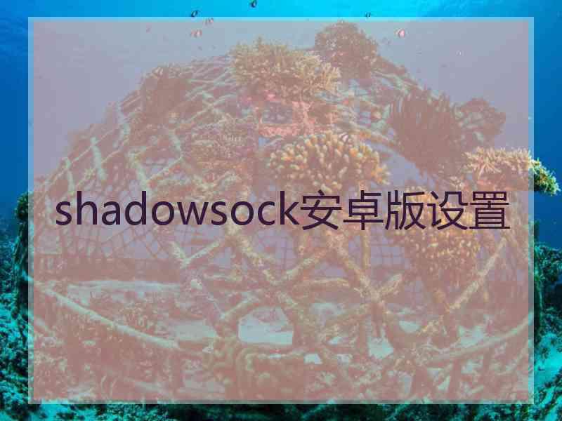 shadowsock安卓版设置