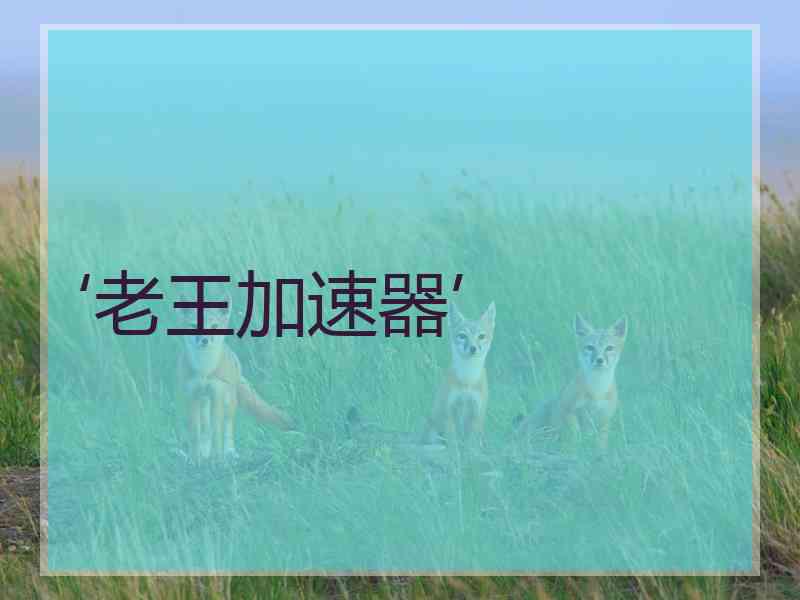 ‘老王加速器’