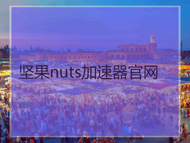坚果nuts加速器官网