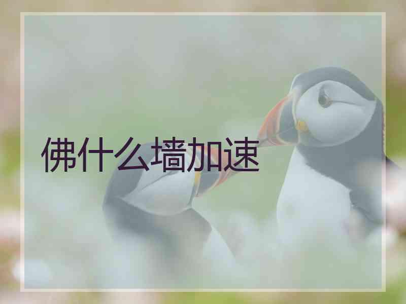 佛什么墙加速