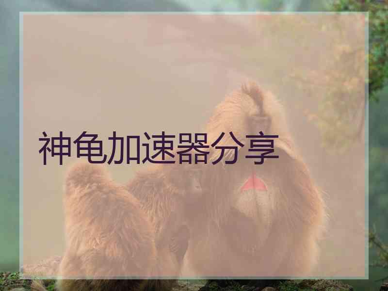 神龟加速器分享