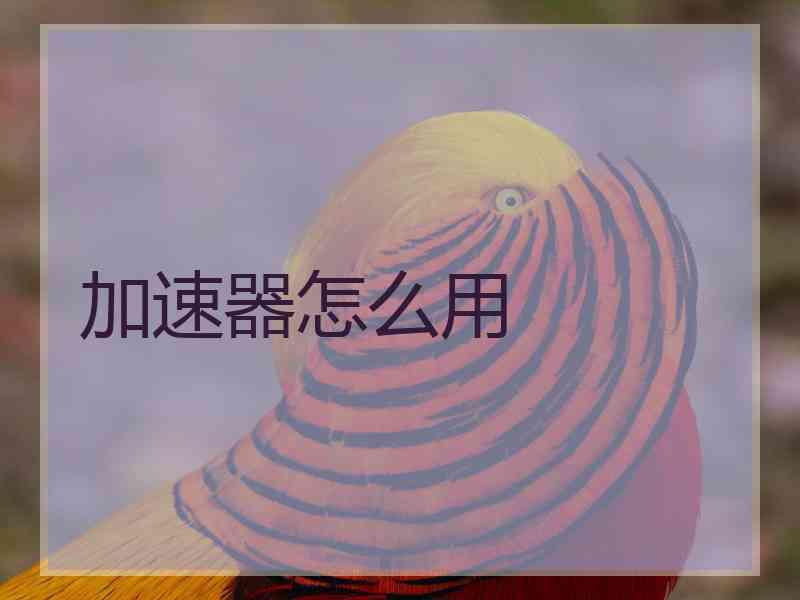 加速器怎么用