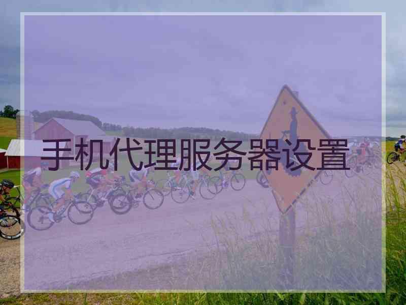 手机代理服务器设置