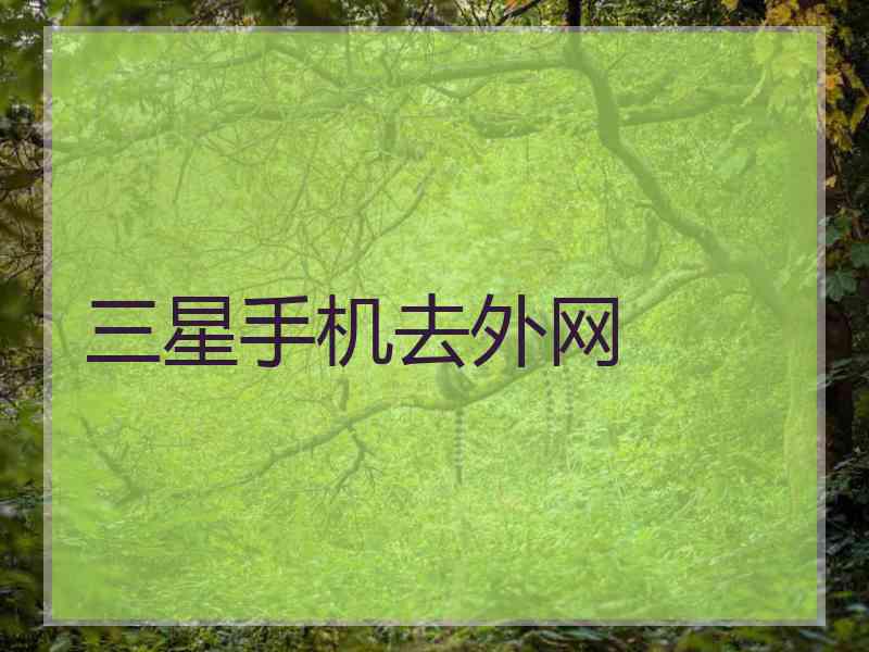 三星手机去外网