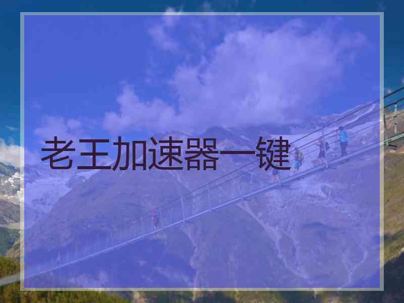 老王加速器一键