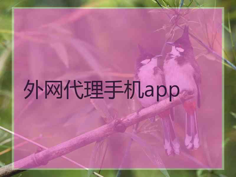 外网代理手机app