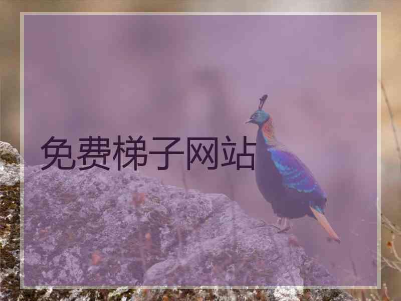 免费梯子网站