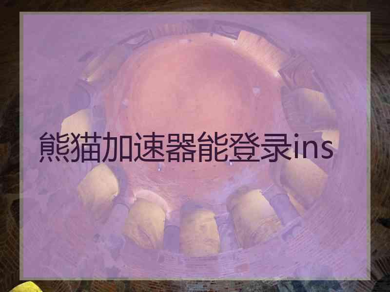 熊猫加速器能登录ins
