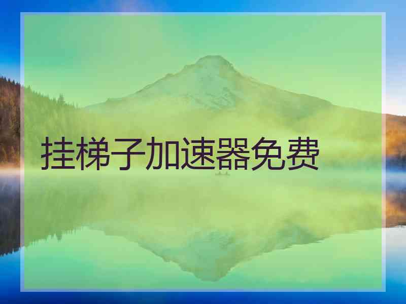 挂梯子加速器免费