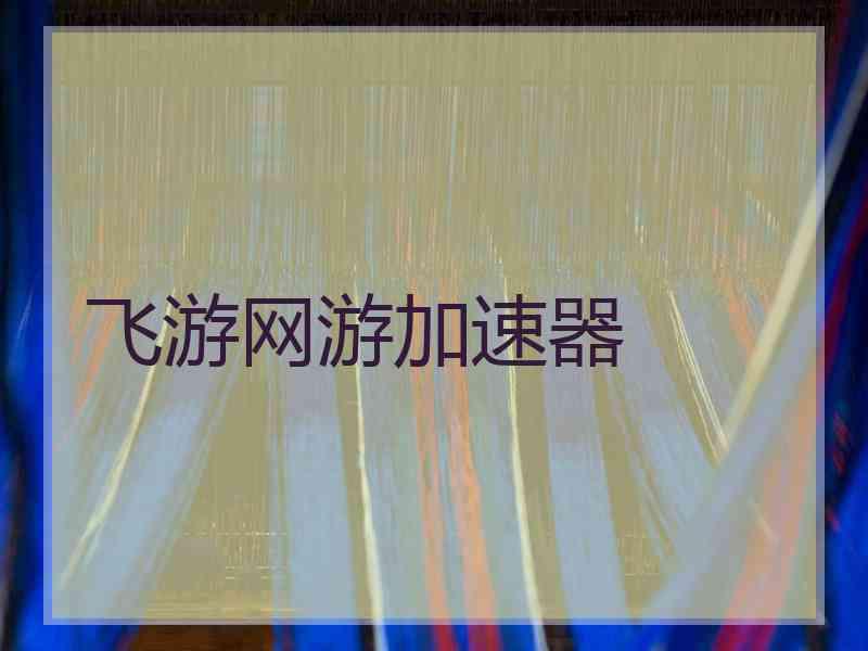 飞游网游加速器