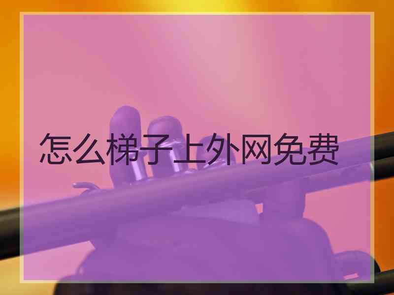 怎么梯子上外网免费