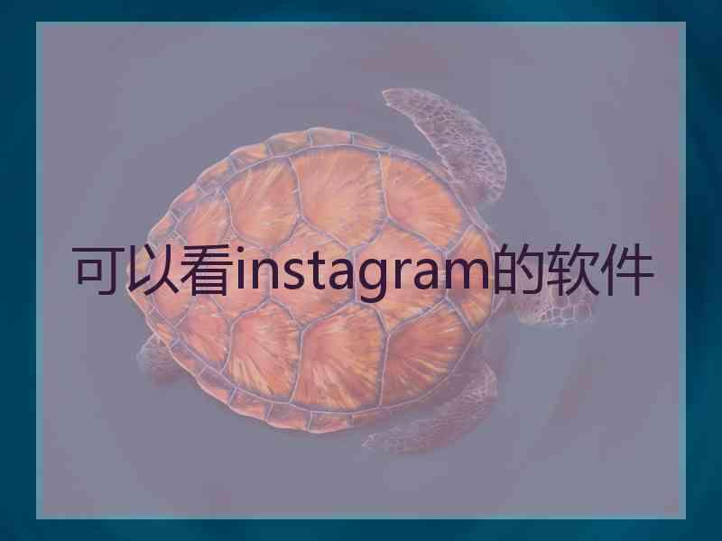 可以看instagram的软件