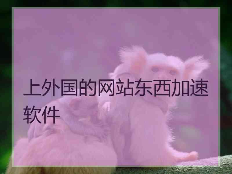 上外国的网站东西加速软件