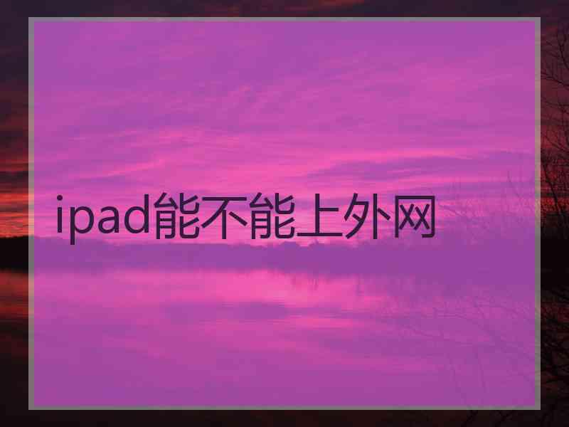 ipad能不能上外网