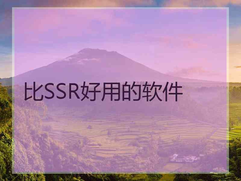 比SSR好用的软件