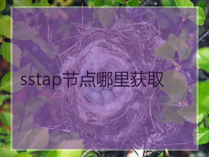 sstap节点哪里获取