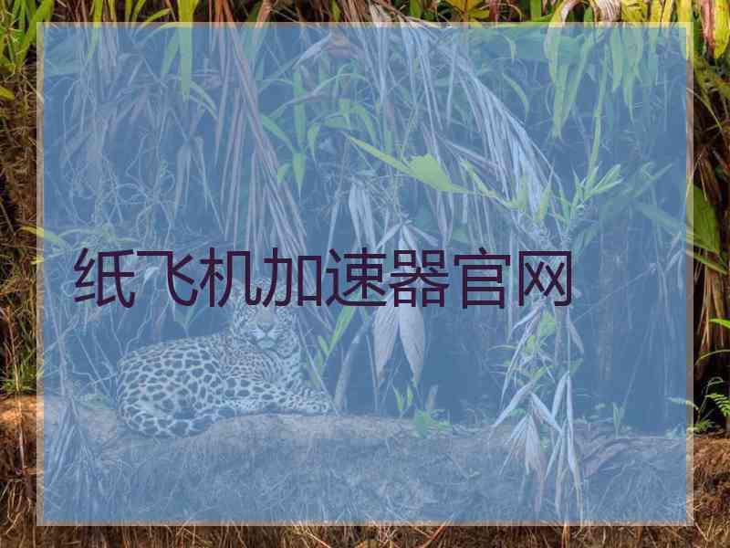 纸飞机加速器官网
