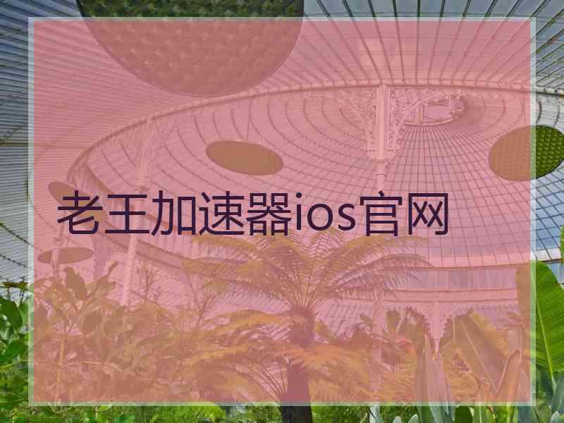 老王加速器ios官网