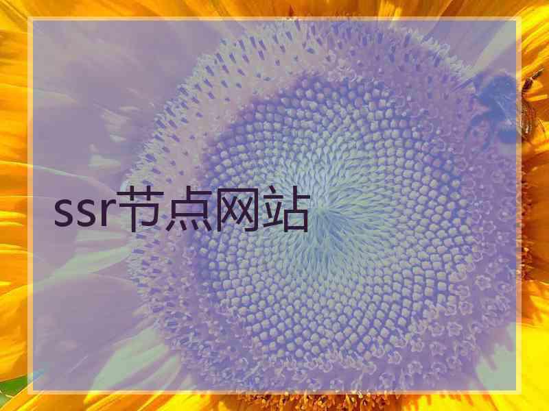 ssr节点网站