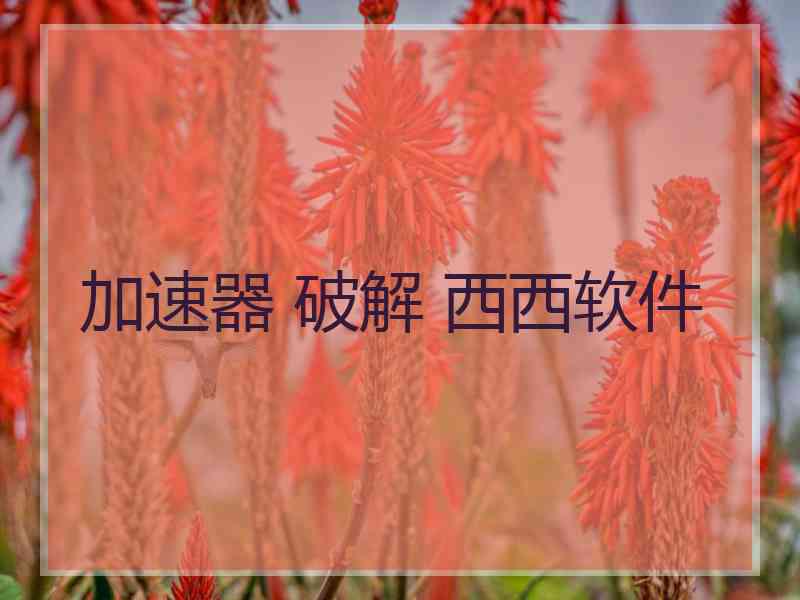 加速器 破解 西西软件