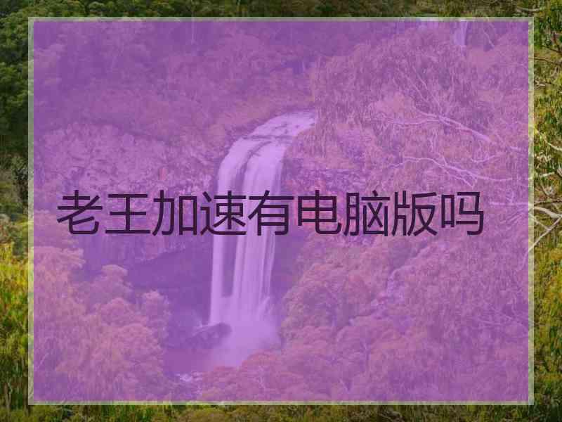 老王加速有电脑版吗