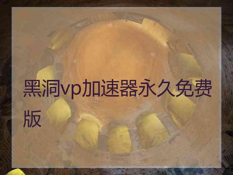 黑洞vp加速器永久免费版