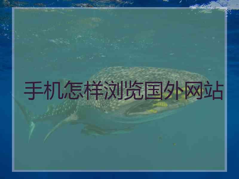 手机怎样浏览国外网站