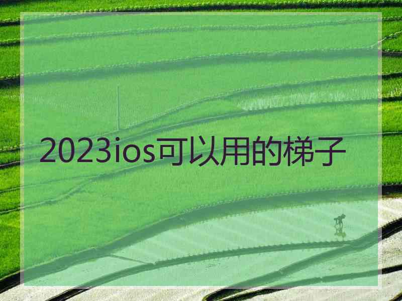 2023ios可以用的梯子