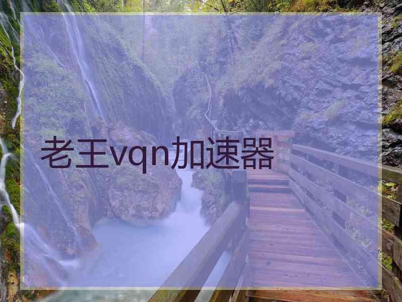 老王vqn加速器