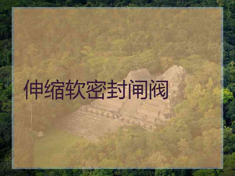 伸缩软密封闸阀