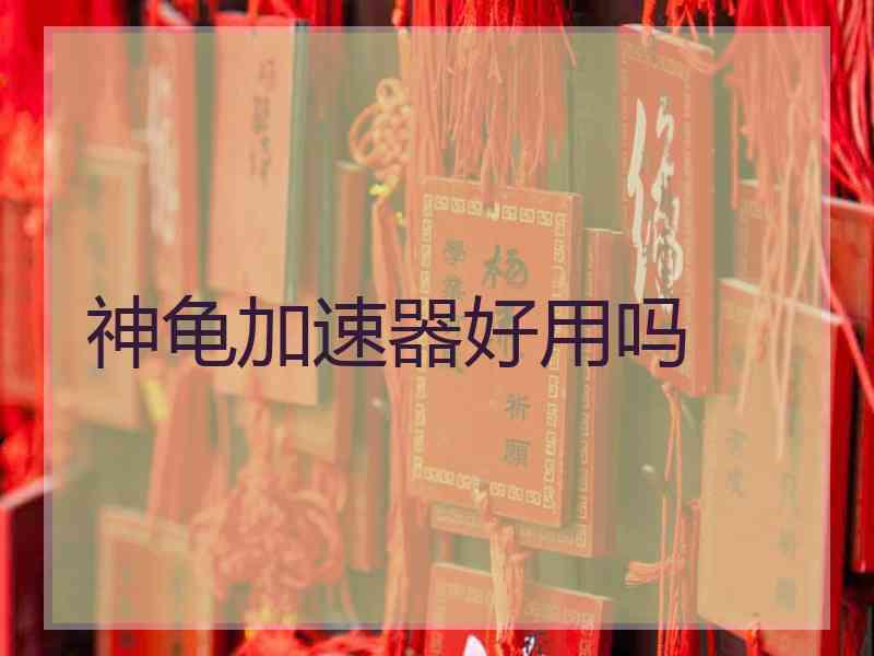 神龟加速器好用吗