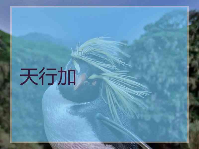 天行加