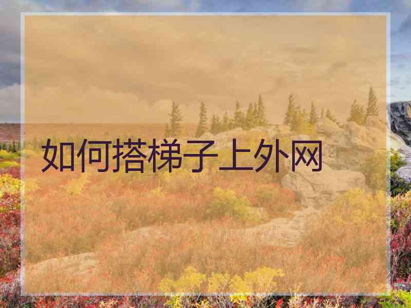 如何搭梯子上外网