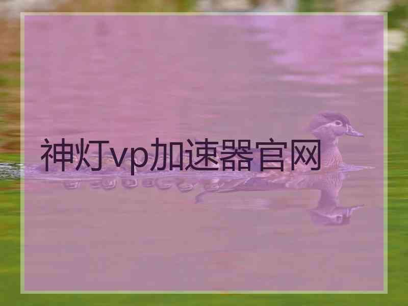神灯vp加速器官网