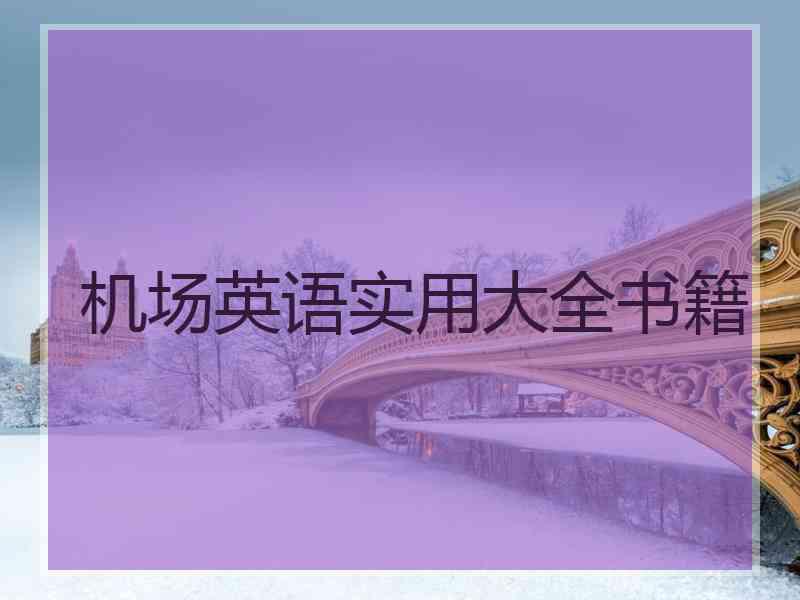 机场英语实用大全书籍