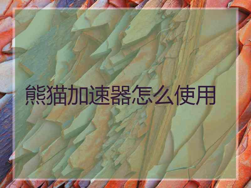 熊猫加速器怎么使用