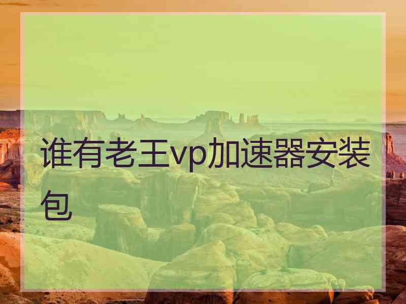 谁有老王vp加速器安装包