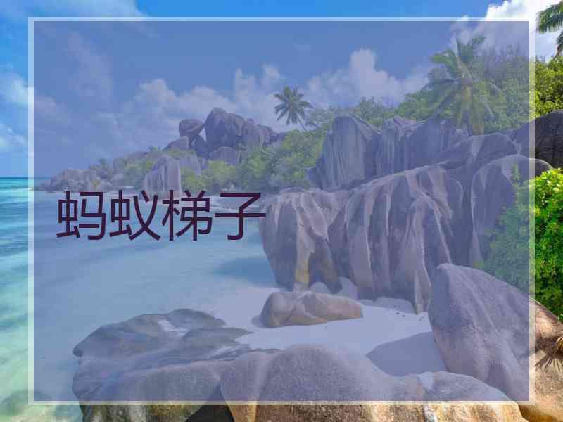 蚂蚁梯子