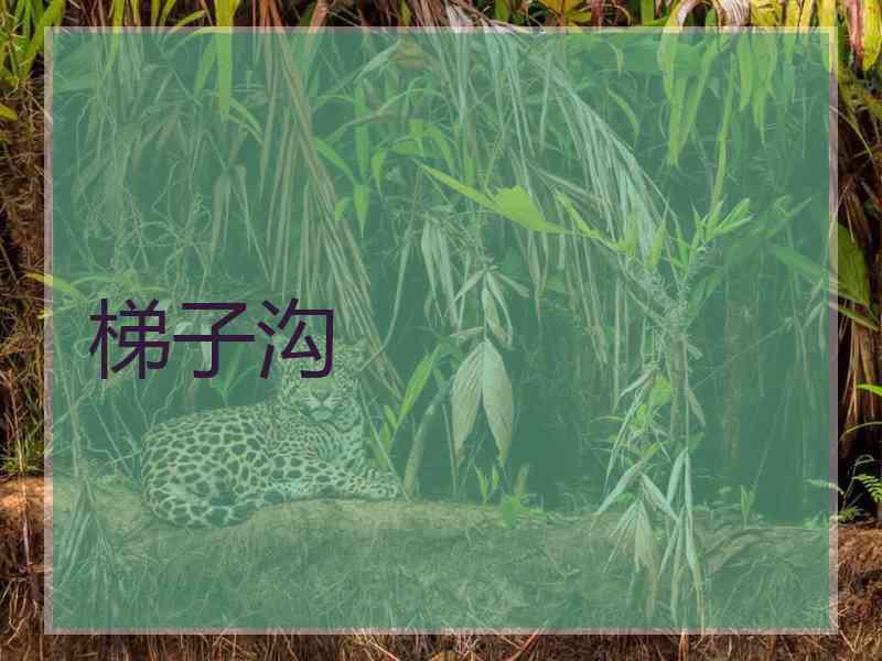 梯子沟