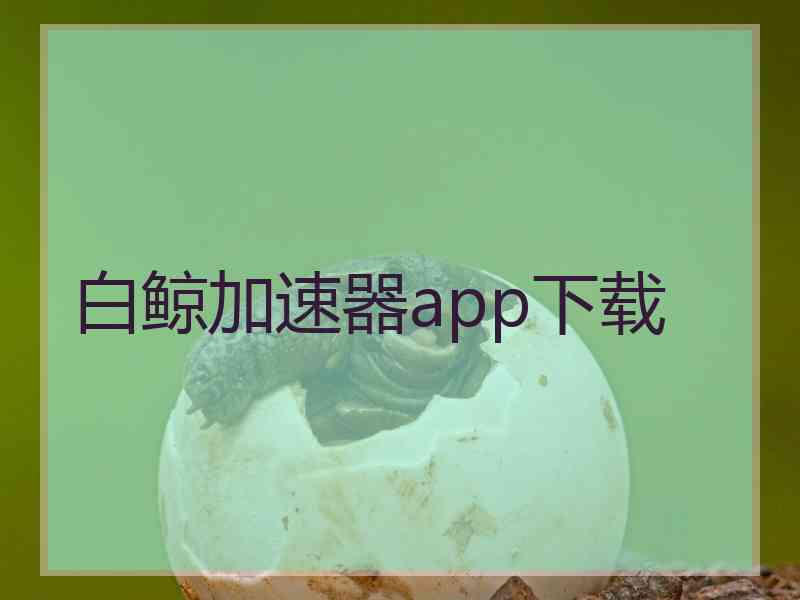 白鲸加速器app下载