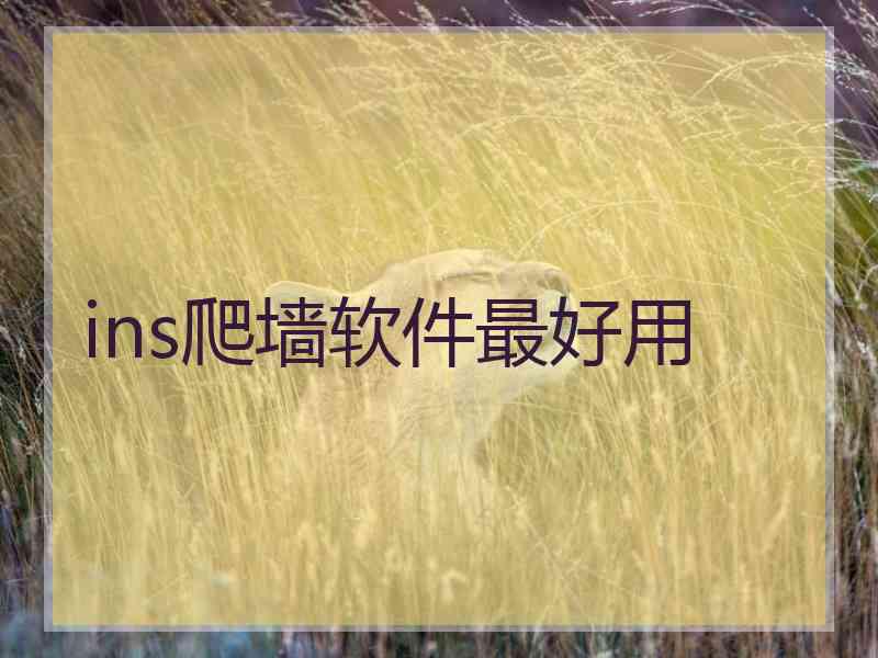 ins爬墙软件最好用
